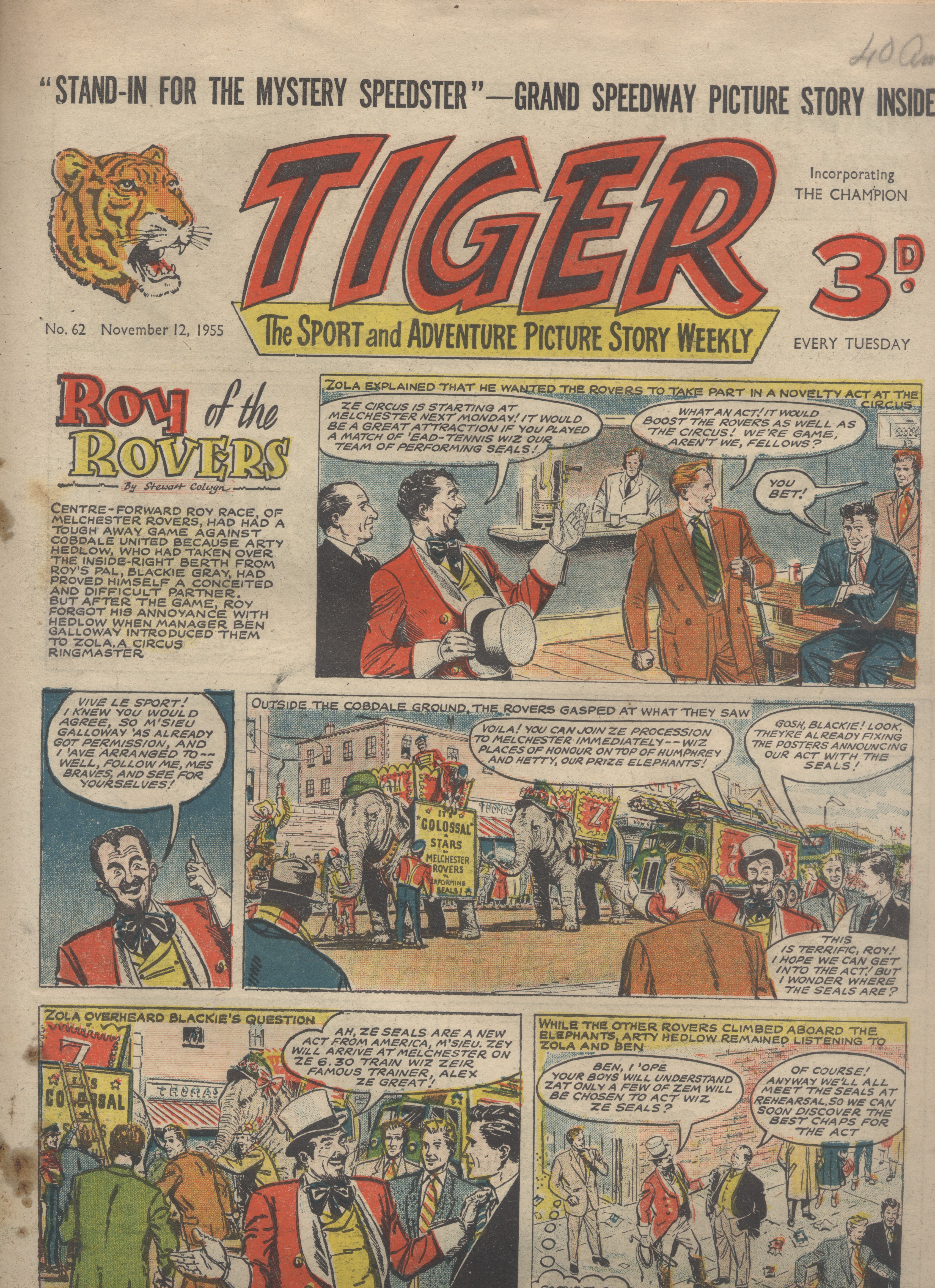 Tiger
